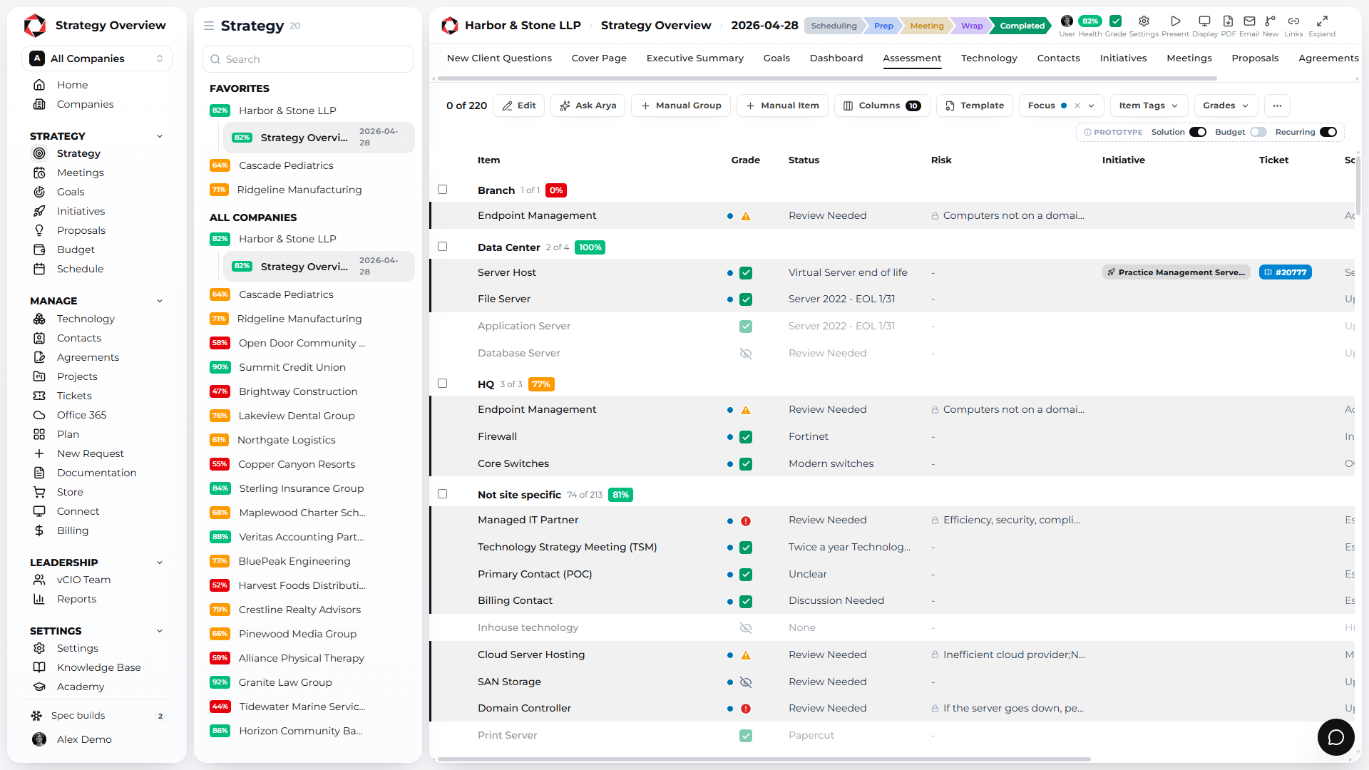 Assessment graded by item with risk, solution and budget